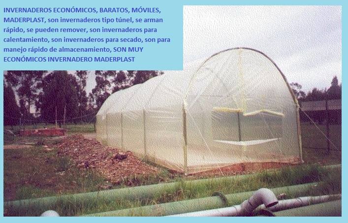 invernaderos móviles invernaderos removibles invernadero reutilizable plegable trasportable invernaderos rápidos invernaderos ya instalación rápida y sencilla invernadero plástico maderplast 04 invernaderos móviles invernaderos removibles invernadero reutilizable plegable trasportable invernaderos rápidos invernaderos ya instalación rápida y sencilla invernadero plástico maderplast 04